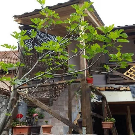Dunarea La Cazane Country house